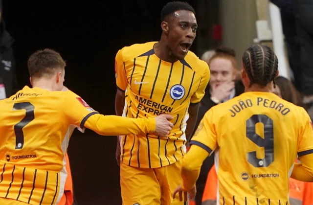 Brighton and Hove Albion's Danny Welbeck (centre) celebrates