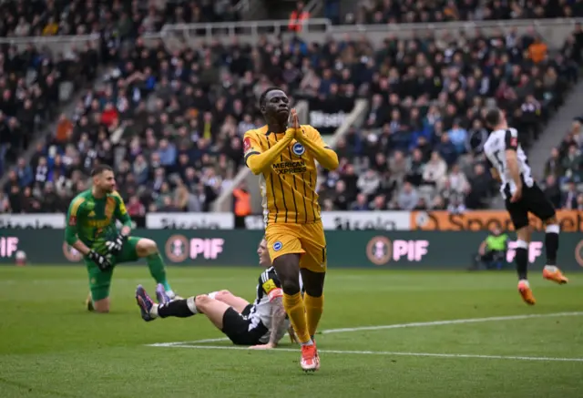 Yankuba Minteh of Brighton & Hove Albion