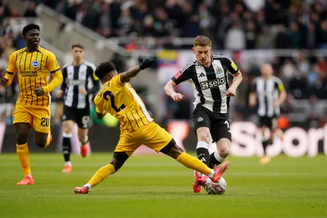 Newcastle v Brighton