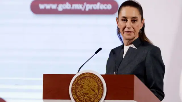 Claudia Sheinbau stands at the podium during a press conference at the National Palace