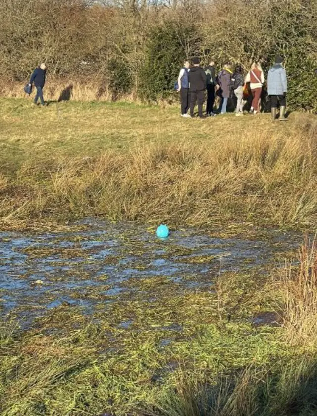 Blue ball in a puddle