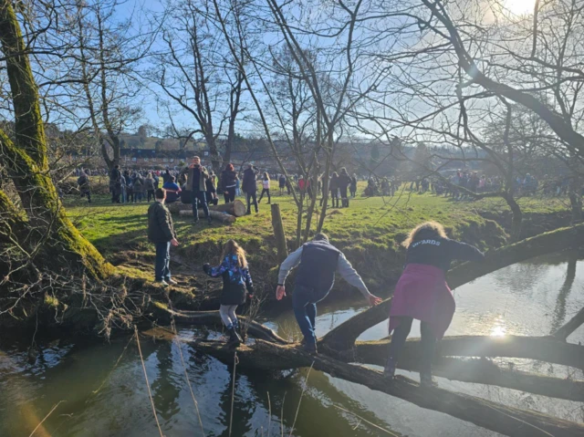 Players climb over water on a tree