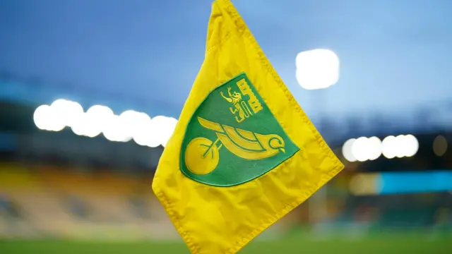 A view of a Norwich City corner flag and Carrow Road stadium