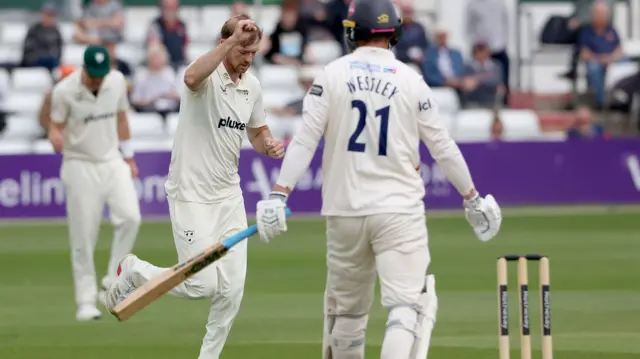 Worcestershire celebrate wicket of Tom Westley