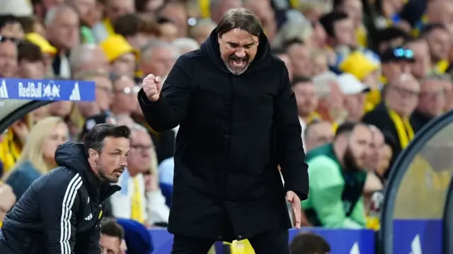 Daniel Farke celebrates