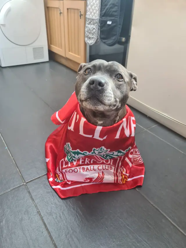 Roxy with an LFC flag