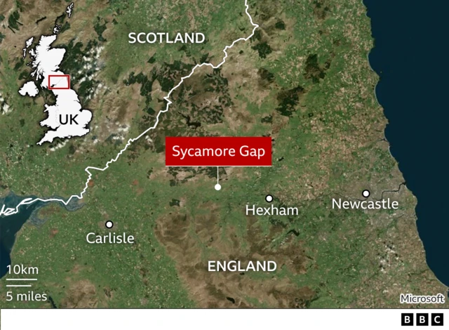 A map showing where Sycamore Gap is in relation to Carlisle in the west and Hexham and Newcastle in the east. The Scottish border is to the north,