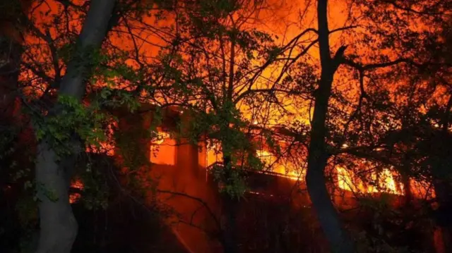 Trees stand in front of a burning building - the blaze has turned the sky orange