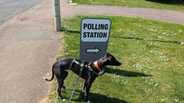 Jimmy stands on the grass in front of a sign reading 'Polling Station'