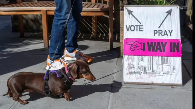 A dog on a lead waits next to a sign reading 'Vote' with an arrow pointing left