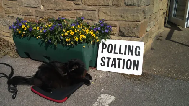 A black cat sits on a mat next to a white polling station sign