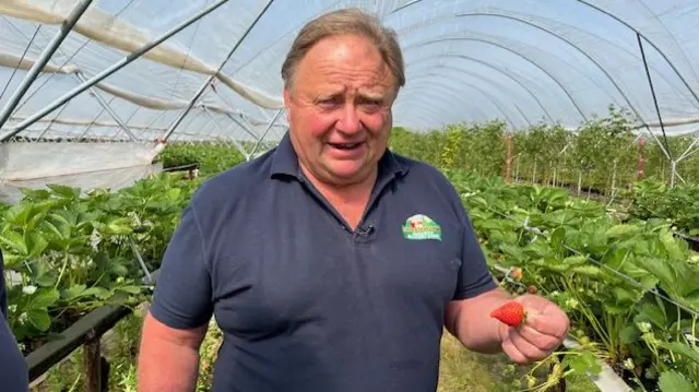 A man holds a strawberry