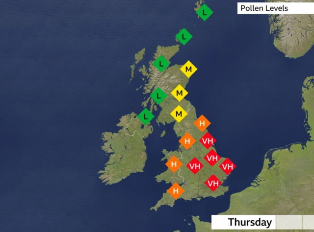 Pollen map of UK. Levels are low in Northern Ireland, western scotland and northern scotland and the Scottish Ilses. They are medium in northeast, central and southern Scoltand. They are high in the northeast and northwest of England, as well as Wales and southwest England. They are Very high in London, the east and west midlands, Yorkshire and East Anglia