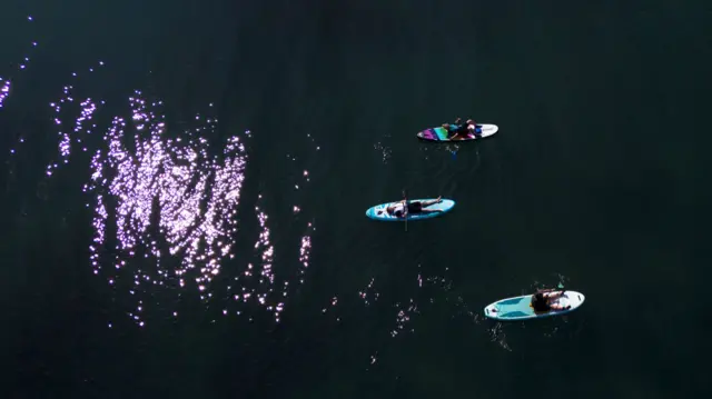Three people sit on paddleboards in the water