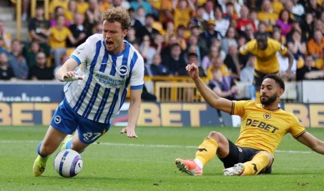 Brighton & Hove Albion's Mats Wieffer in action with Wolverhampton Wanderers' Matheus Cunha