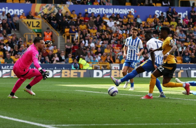 Brighton & Hove Albion's Danny Welbeck scores a disallowed goal