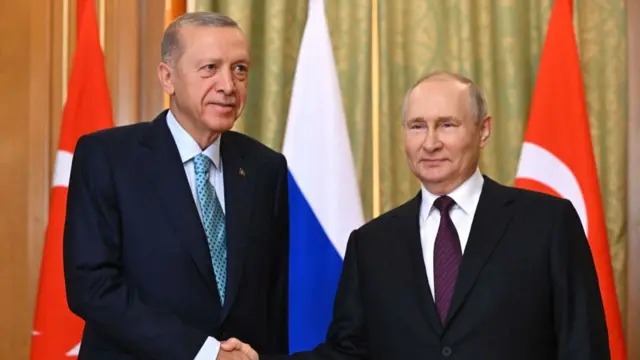 Recep Erdogan (L) shakes hands with Vladimir Putin (R) as they stand in front of two Turkish flags and a Russian one