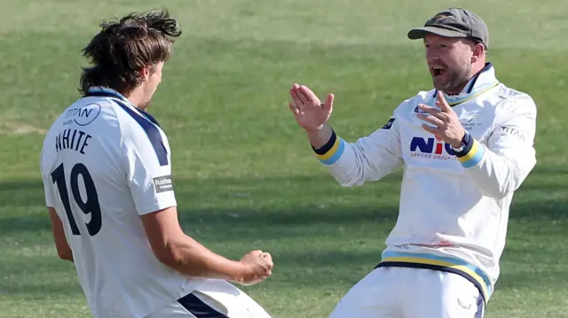 Jack White takes a wicket