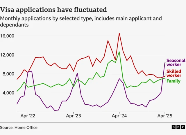 A line chart showing applications for family, skilled worker and seasonal worker visas. The latter has risen above the other two which are close together