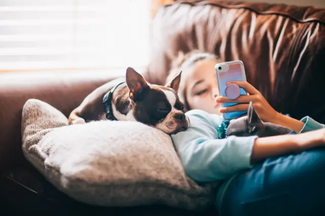 A child on her phone with a dog asleep next to her