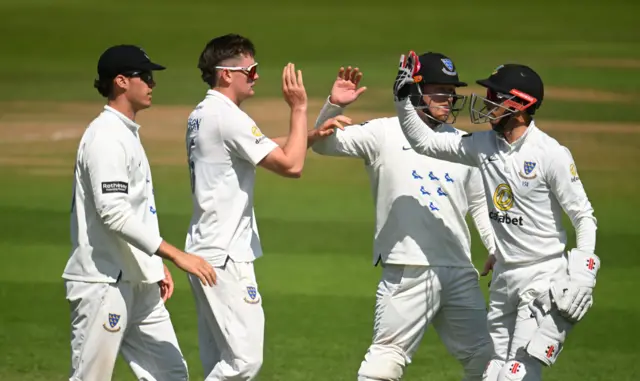 Sussex celebrate the wicket of James Rew