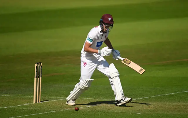Archie Vaughan batting for Somerset against Sussex