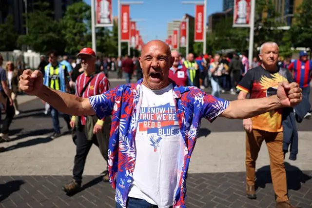 A fan of Crystal Palace poses