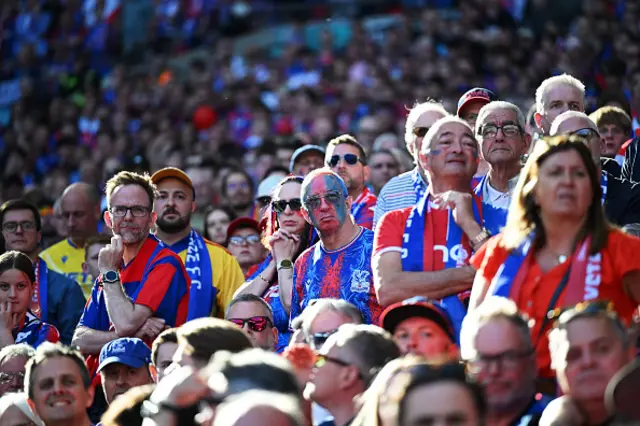 Fans of Crystal Palace look on