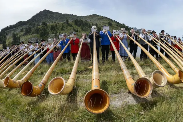 Some alphorns, yesterday