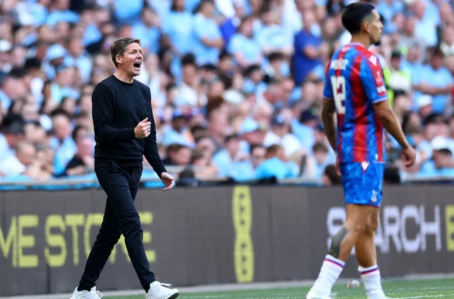 Crystal Palace manager Oliver Glasner