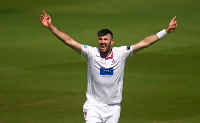 Somerset's Craig Overton celebrates getting out Sussex's Tom Alsop