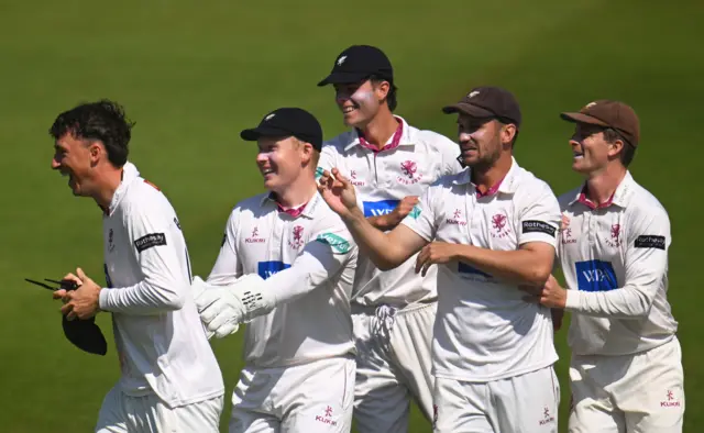 Somerset players celebrate a wicket against Sussex