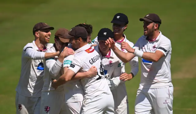 Somerset celebrate Matt Henry's wicket against Sussex