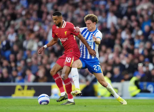 Liverpool's Cody Gakpo and Brighton and Hove Albion's Mats Wieffer battle for the ball