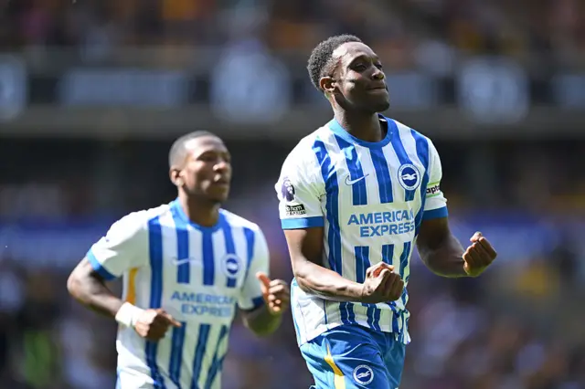 Danny Welbeck celebrates scoring for Brighton