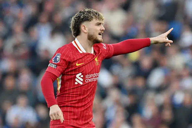 Harvey Elliott of Liverpool gestures during the Premier League match between Brighton & Hove Albion FC and Liverpool FC at Amex Stadium on May 19, 2025 in Brighton, England.