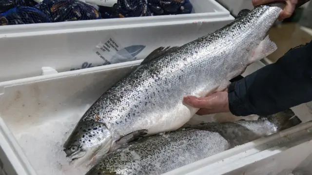 A customer inspects a salmon at the Glasgow Fish Market at Blochairn, Glasgow, Scotland.