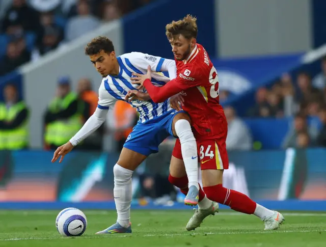 Liverpool and Brighton in action.