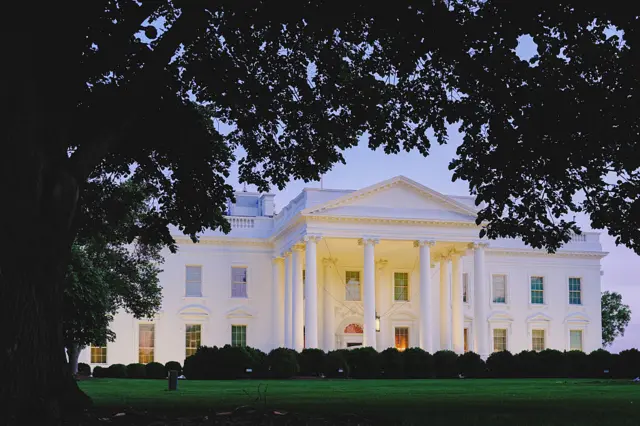 Exterior of the White House, which is large and grand, taken from behind some trees so some foliage is in the foreground at dusk