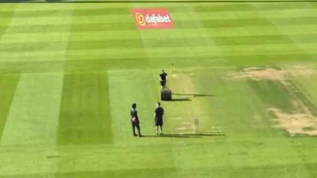 The light roller at Taunton