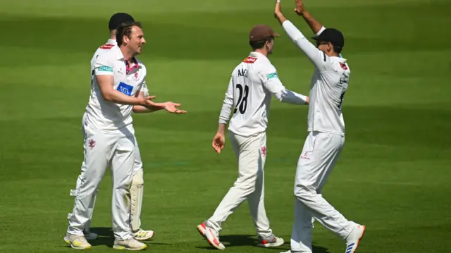 Somerset celebrate wicket