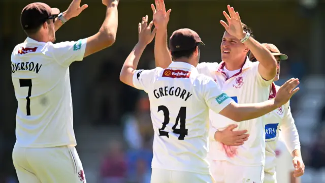 Somerset celebrate wicket