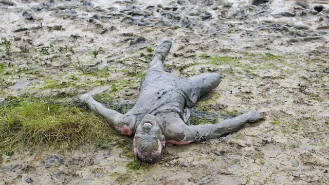 A participants lies on the riverbank after crawling across the finish line