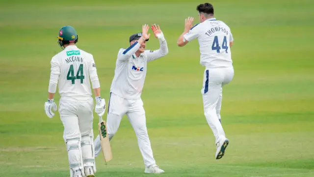 Jordan Thompson celebrates the wicket of Freddie McCann