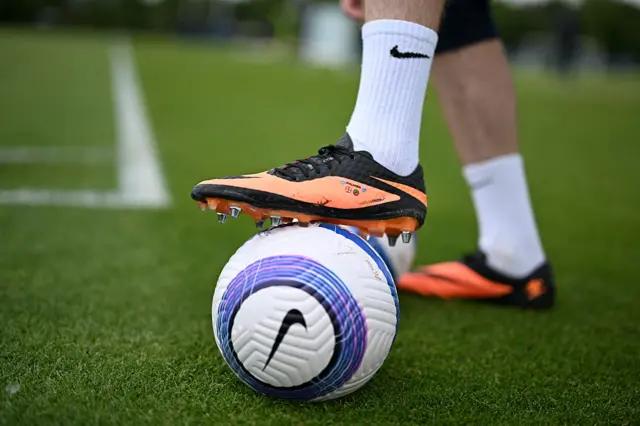 Nike Premier League football