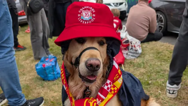 Liverpool's biggest supporter