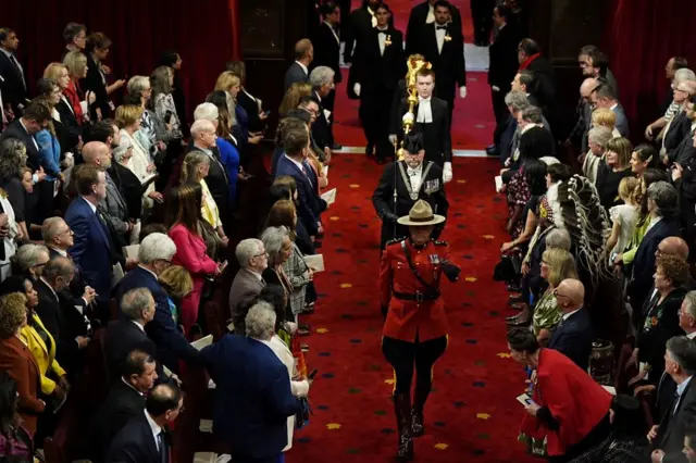 The Black Rod enters the Senate
