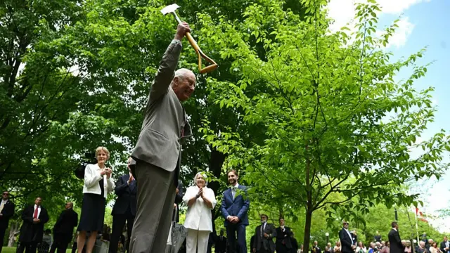 The King holds up a shovel. A mound of soil is in front of him as is a small tree.