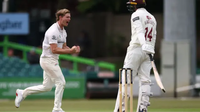 Leicestershire celebrate wicket