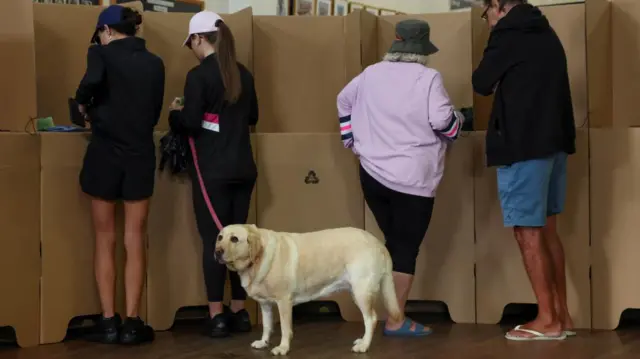 People and a dog voting at Bondi Surf Lifesaving Club in Sydney on 3 May 2025
